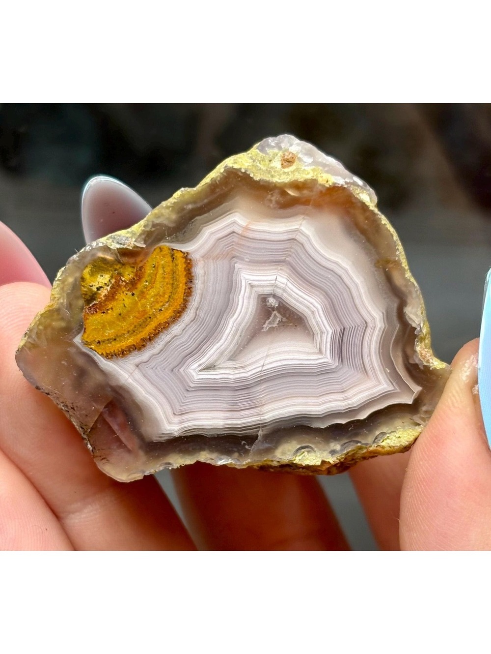 Laguna Agate from Mexico | Polished Banded Agate Specimen